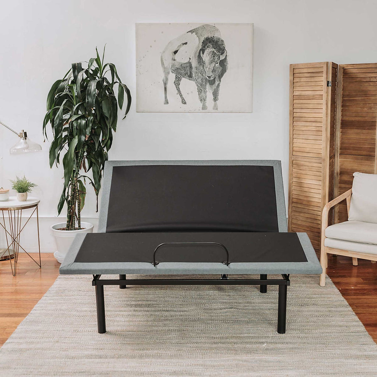 BedTech BTX4 Adjustable Base Mattress Clinic