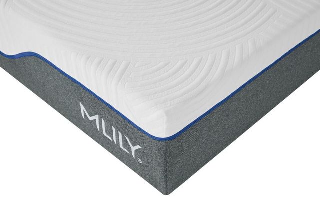 MLILY WellFlex 3.0 12" Hybrid Plush Mattress