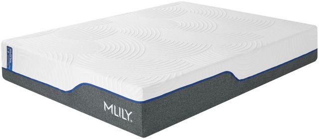 MLILY WellFlex 3.0 12" Hybrid Plush Mattress