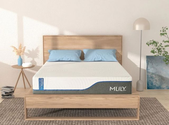 MLILY WellFlex 3.0 12" Hybrid Plush Mattress