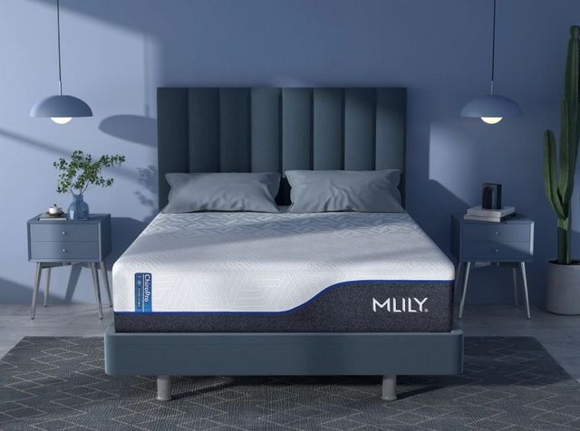 MLILY ChiroPro 3.0 13" Hybrid Plush Mattress